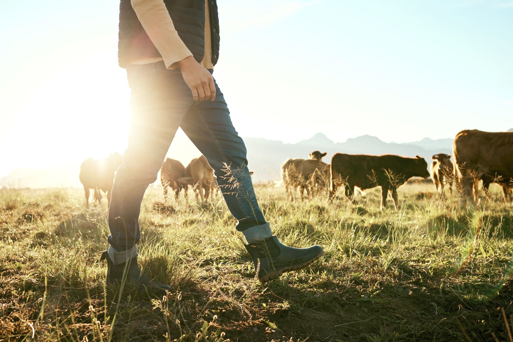 Enhancing the soft skills of the Farmlands technical team