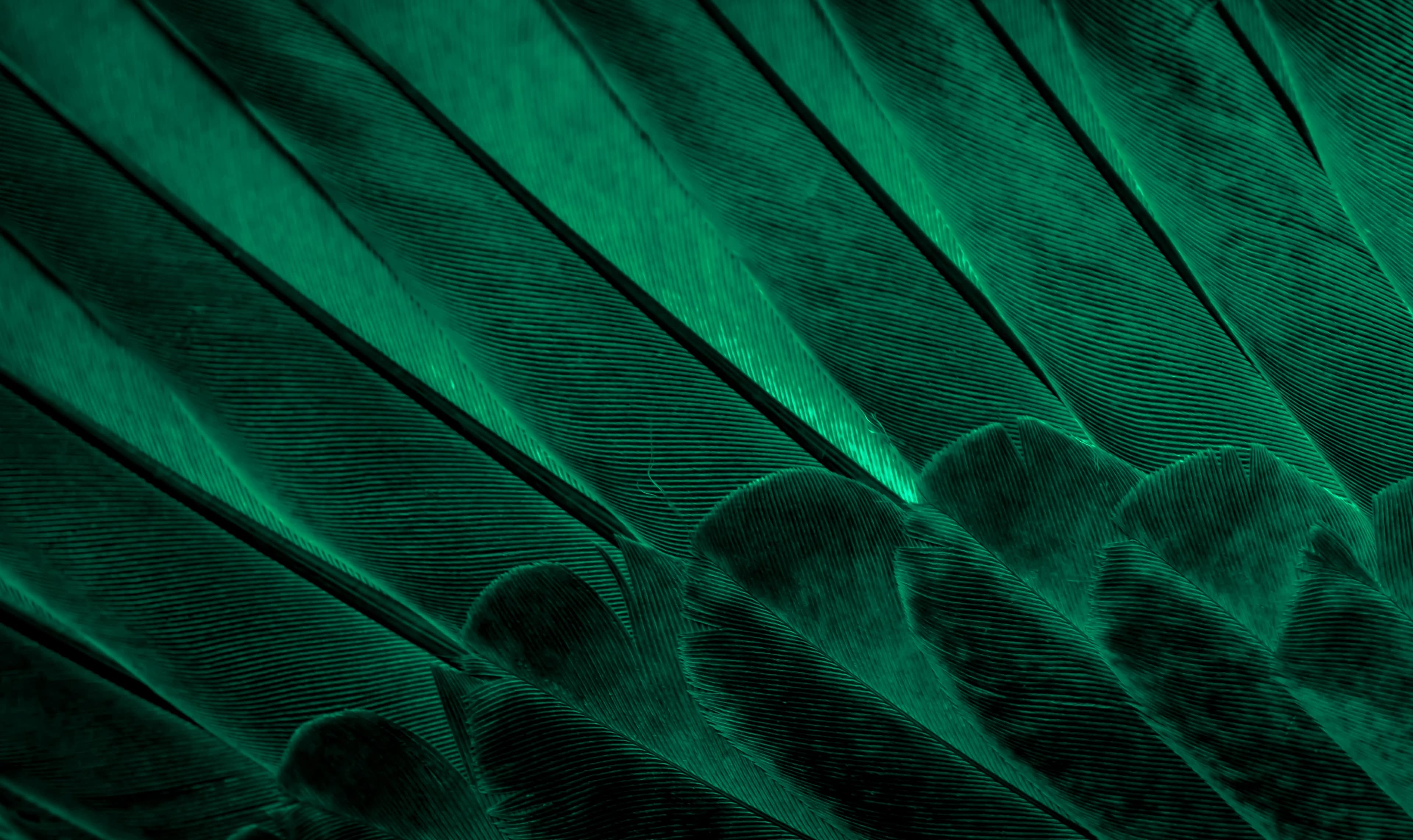Hero background