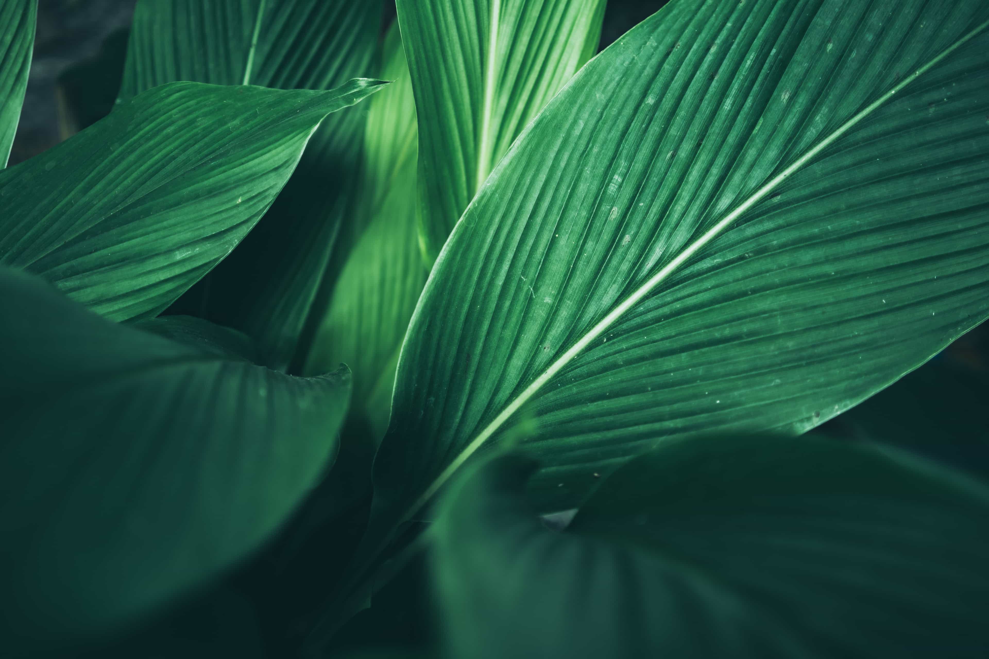 Hero background