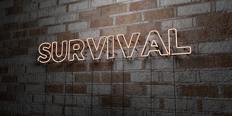 SURVIVAL - Glowing Neon Sign on stonework wall
