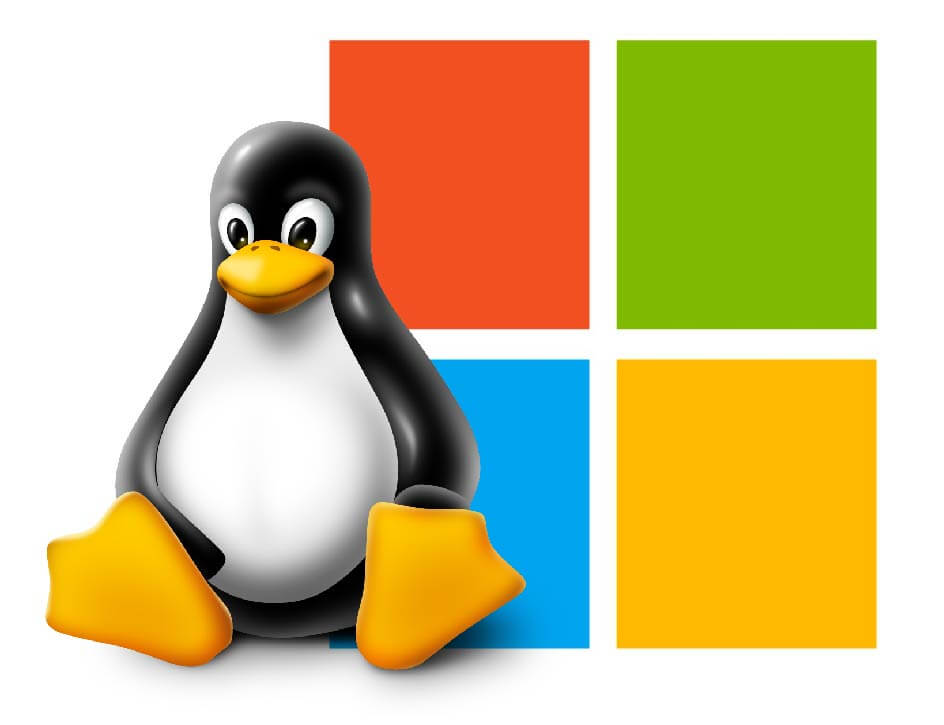 Linux & Windows